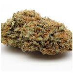 Шишки AK47 (Гидропоника, Бошка) VHQ в Качканаре Шишки AK47 (Гидропоника, Бошка) VHQ в Качканаре