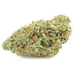 Шишки OG Kush (Гидропоника, бошки) VHQ в Качканаре Шишки OG Kush (Гидропоника, бошки) VHQ в Качканаре